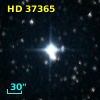 HD  37365