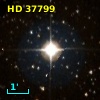 HD  37799
