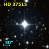 HD  37515