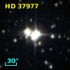 HD  37977