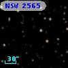 NSV  2565