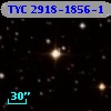 TYC 2918-1856-1