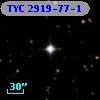 TYC 2919-77-1