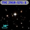 TYC 2919-571-1