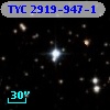 TYC 2919-947-1