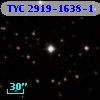 TYC 2919-1638-1