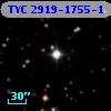TYC 2919-1755-1
