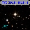TYC 2919-1816-1