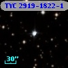 TYC 2919-1822-1