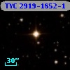 TYC 2919-1852-1