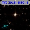 TYC 2919-1892-1
