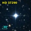 HD  37290