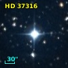 HD  37316