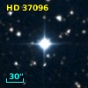 HD  37096