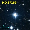HD  37169