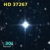 HD  37267