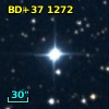 BD+37  1272