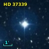 HD  37339