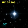 HD  37505