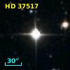 HD  37517
