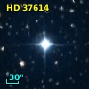HD  37614
