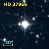 HD  37966