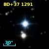 BD+37  1291
