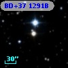 BD+37  1291B