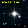 BD+37  1310