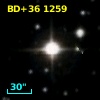 BD+36  1259