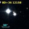 BD+36  1215B