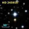 HD 245916
