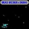 IRAS 05368+3604