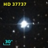 HD  37737