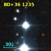 BD+36  1235