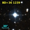 BD+36  1239
