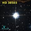HD  38503