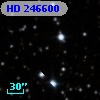 HD 246600