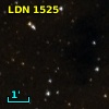 LDN 1525