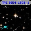 TYC 3654-1929-1