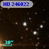 HD 246022