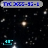 TYC 3655-95-1