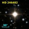 HD 246482