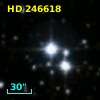 HD 246618