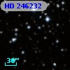 HD 246232