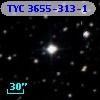 TYC 3655-313-1