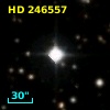 HD 246557