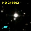 HD 246602