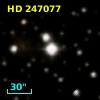 HD 247077