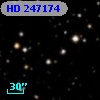 HD 247174
